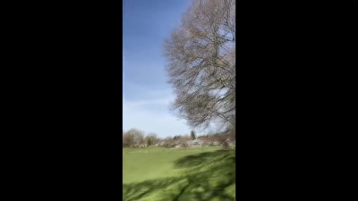 Alyx Star Masturbating Public Park