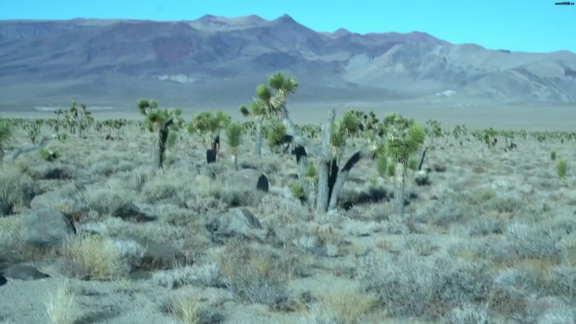 Performer Onlyfans Brandi Braids 30-07-2025 blowjob in the Las Vegas desert, # 1 Porn Archive - ePornREC
