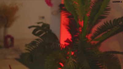 little_anitta show 4
